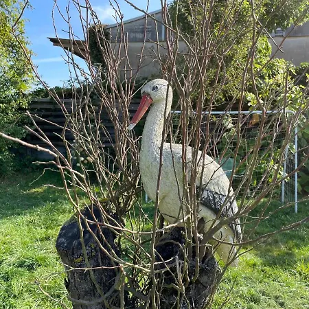 Old Huesung - Muz320 By Interhome *