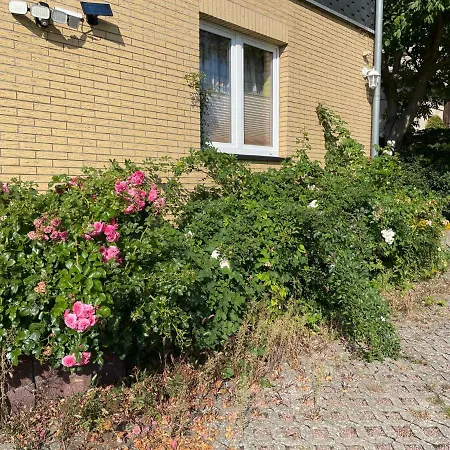 Appartement Old Huesung - Muz320 By Interhome Mirow